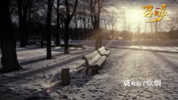 【无插件】mv通用字幕包装ae模板