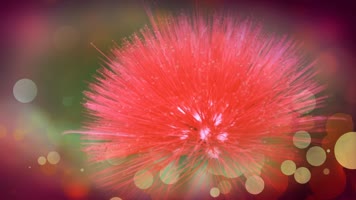 绒花韩红歌曲舞台背配乐成品电影歌曲