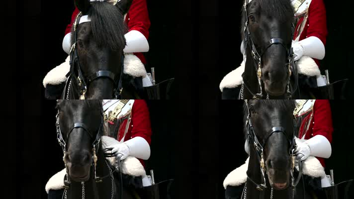 骑兵 英国骑兵 勇士