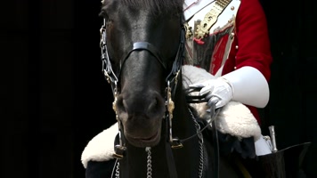 骑兵 英国骑兵 勇士