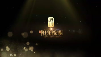 水钻石演变金属logo地产高端大气尊贵