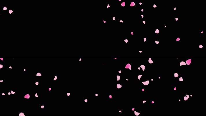 4K粉红玫瑰花瓣斜飞舞通道视频素材