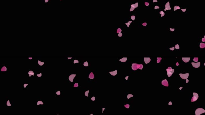 4K粉红玫瑰花瓣飘落通道视频素材 