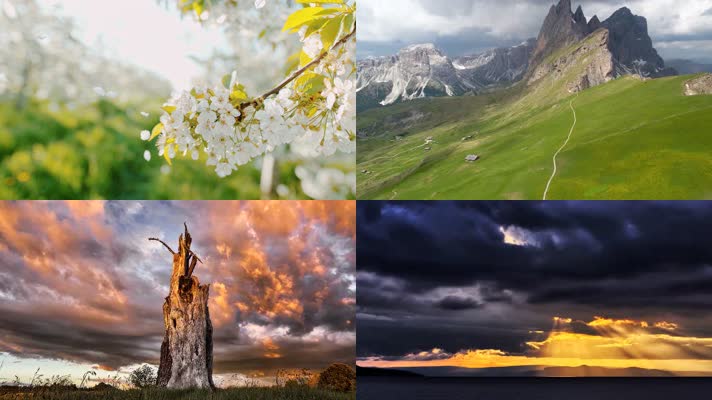 唯美大自然背景视频