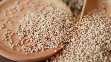 原创实拍高粱米视频素材