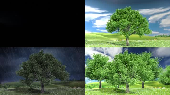 小树苗历经风雨成长参天大树-企业发展