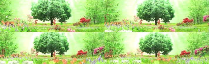 4K大树梦幻森林唯美森林