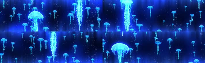 4K海底世界水母全息投影