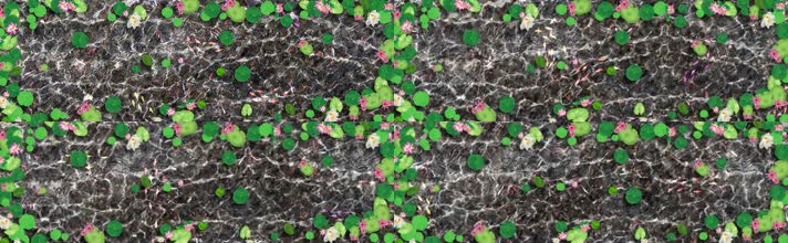 4K地屏投影鱼塘荷塘