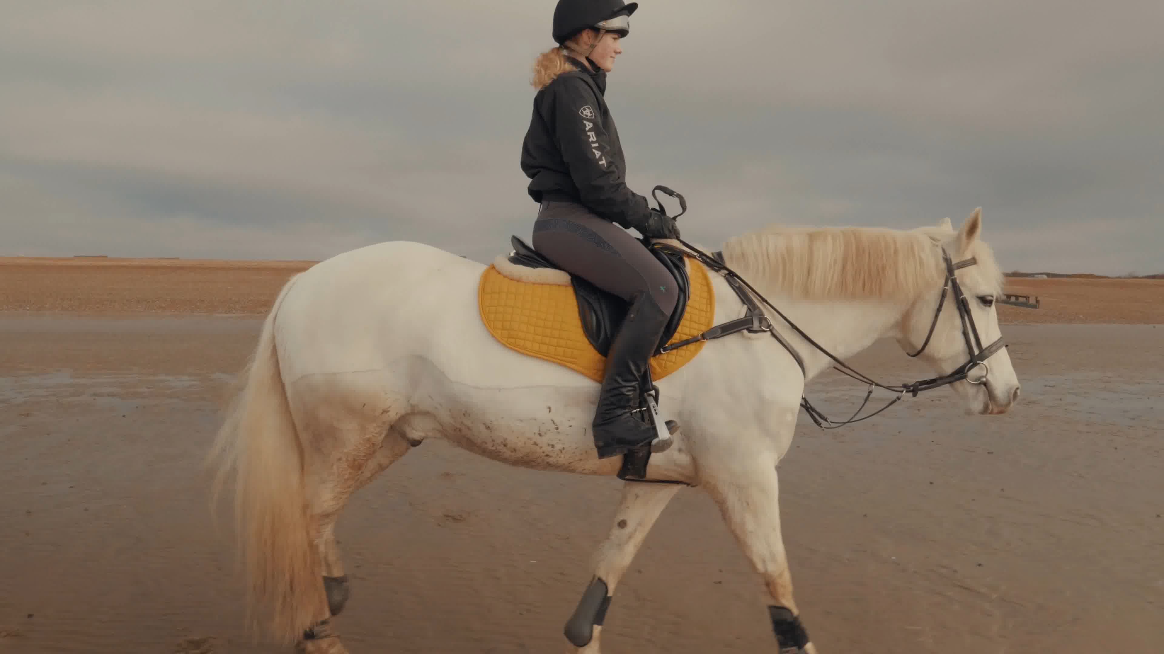 美女騎馬馬場海邊騎馬視頻素材