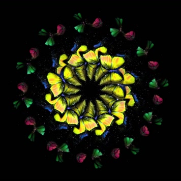 全息粒子蝴蝶裙摆婚纱投影素材3