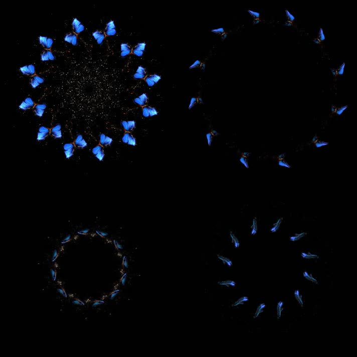 全息粒子蝴蝶裙摆婚纱投影素材5