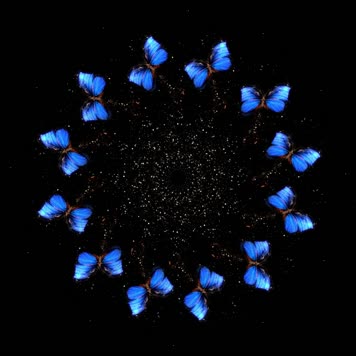 全息粒子蝴蝶裙摆婚纱投影素材5