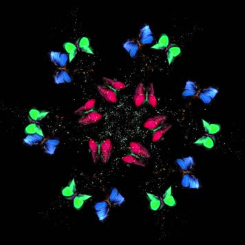 全息粒子蝴蝶裙摆婚纱投影素材6