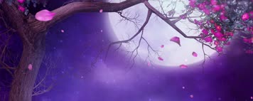 唯美梦幻月夜LED视频背景