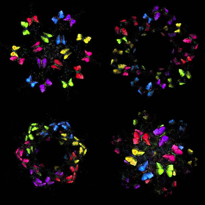 全息粒子蝴蝶裙摆婚纱投影素材4