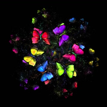 全息粒子蝴蝶裙摆婚纱投影素材4