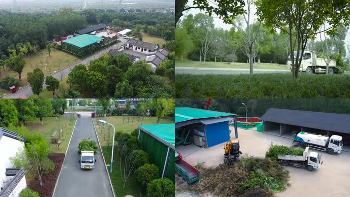 车拉树木到环保加工