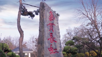 徐州淮塔碑林总前委雕塑4k