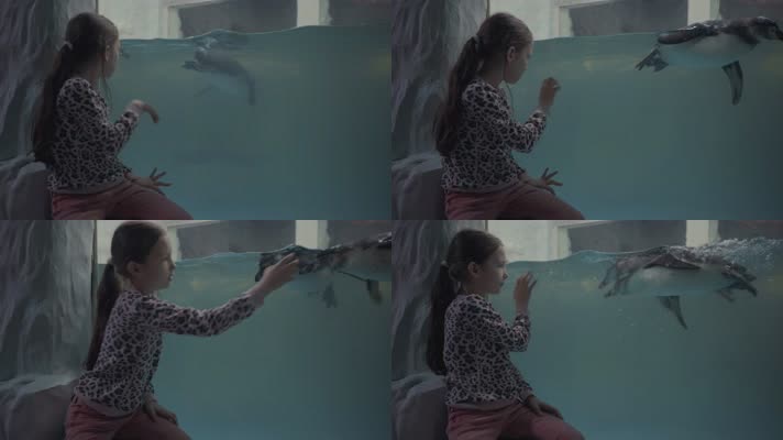 小姑娘玩鱼缸