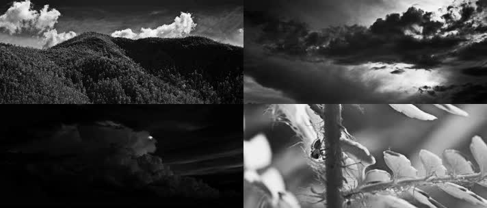  黑白摄影，山脉流云，昆虫流水