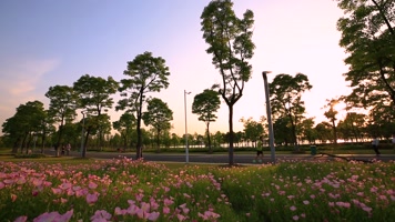 航拍高清城市园林绿化实拍视频素材