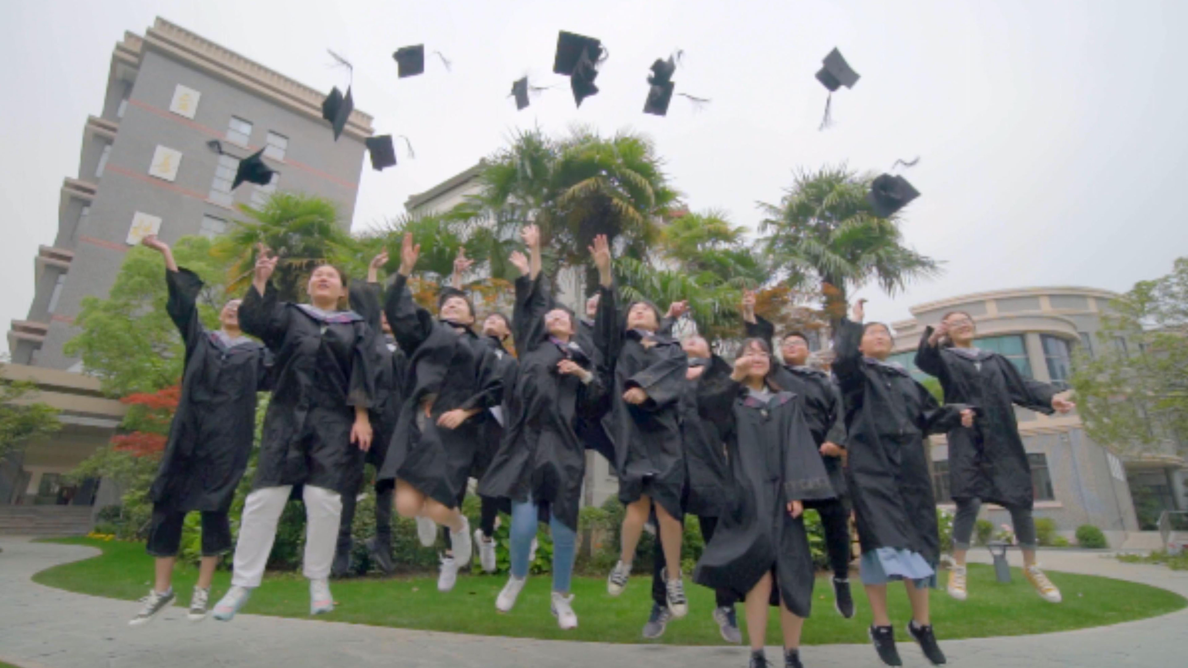 4K毕业扔帽子拍照留念 4K毕业扔帽子拍照留念