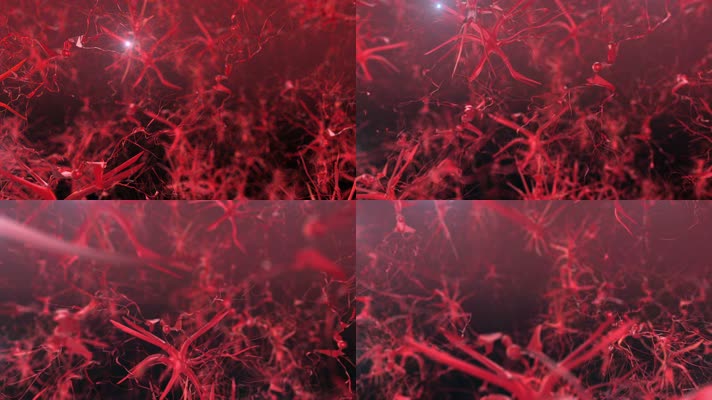 大脑神经元连接传导