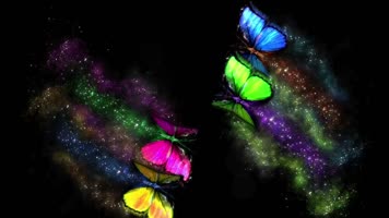 极品动感百蝶飞舞4分28秒