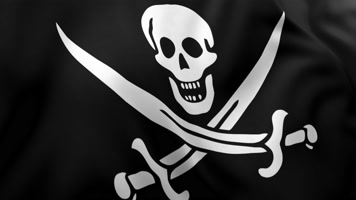 海盗旗03