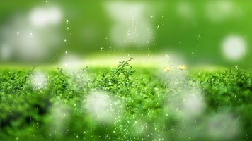 4K绿色清新草地背景循环