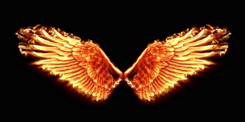 4K金翅膀天使翅膀羽毛