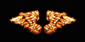 4K金翅膀天使翅膀羽毛