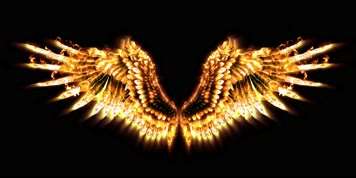 4K金翅膀天使翅膀羽毛