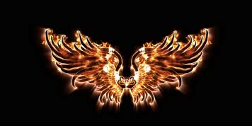 4K金翅膀天使翅膀羽毛