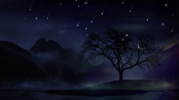 唯美夜色流星划过-4K