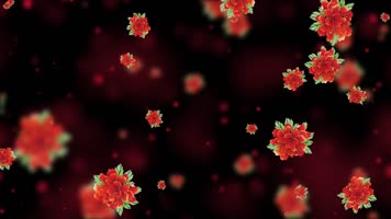 唯美卡通牡丹花粒子背景视频 唯美卡通牡丹花粒子背景视频