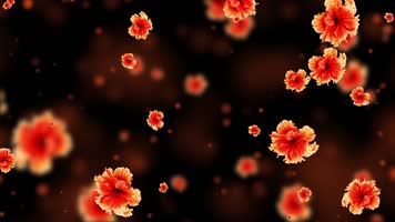 唯美橙色小杜鹃花粒子背景视频 唯美橙色小杜鹃花粒子背景视频