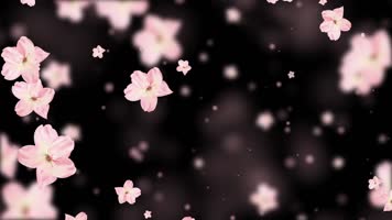 唯美清新桃花粒子背景视频 唯美清新桃花粒子背景视频