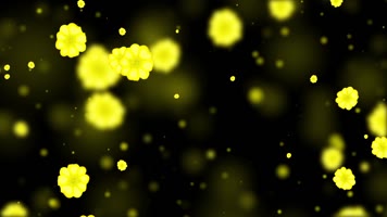 梦幻油菜花屏幕背景视频