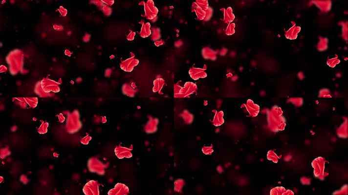 唯美红色杜鹃花粒子背景视频 唯美红色杜鹃花粒子背景视频