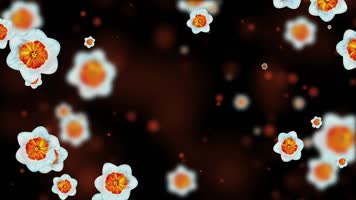 唯美水仙粒子背景视频