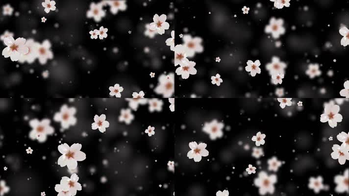 唯美五瓣梨花花瓣粒子背景视频