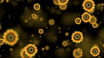 唯美黄色向日葵粒子背景视频 唯美黄色向日葵粒子背景视频