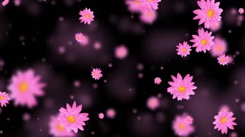 唯美荷花粒子背景视频