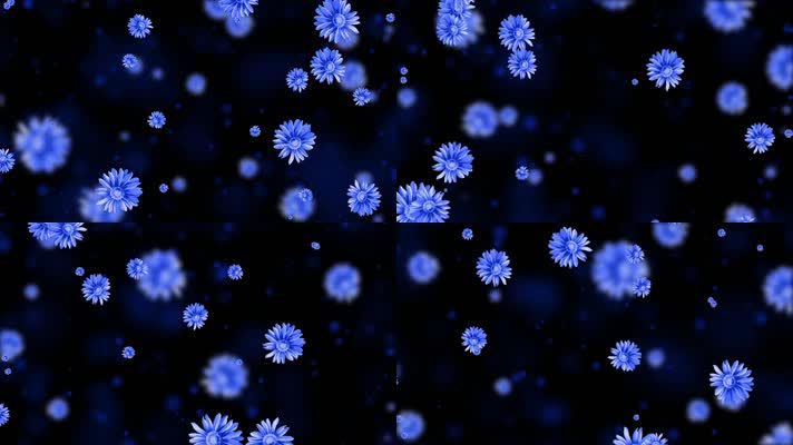 唯美蓝色菊花粒子背景视频 唯美蓝色菊花粒子背景视频
