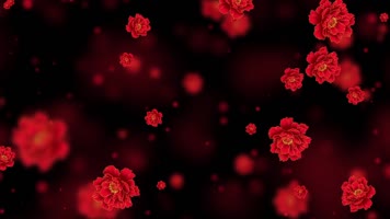 唯美红色牡丹花粒子背景视频 唯美红色牡丹花粒子背景视频