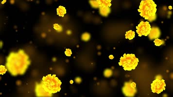 唯美金色牡丹粒子背景视频1 唯美金色牡丹粒子背景视频1