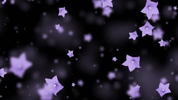 唯美桔梗花粒子背景视频 唯美桔梗花粒子背景视频