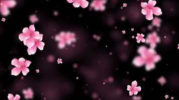 唯美桃花粒子背景视频